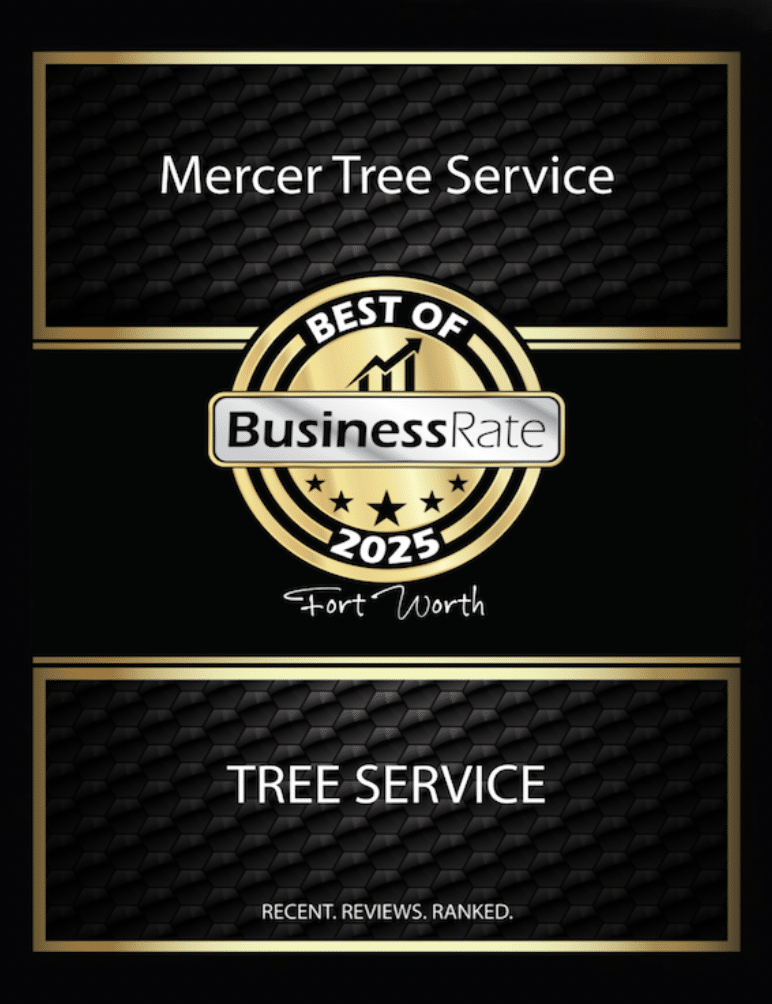 Business rate 2025 Best of badge for Fort Worth, TX